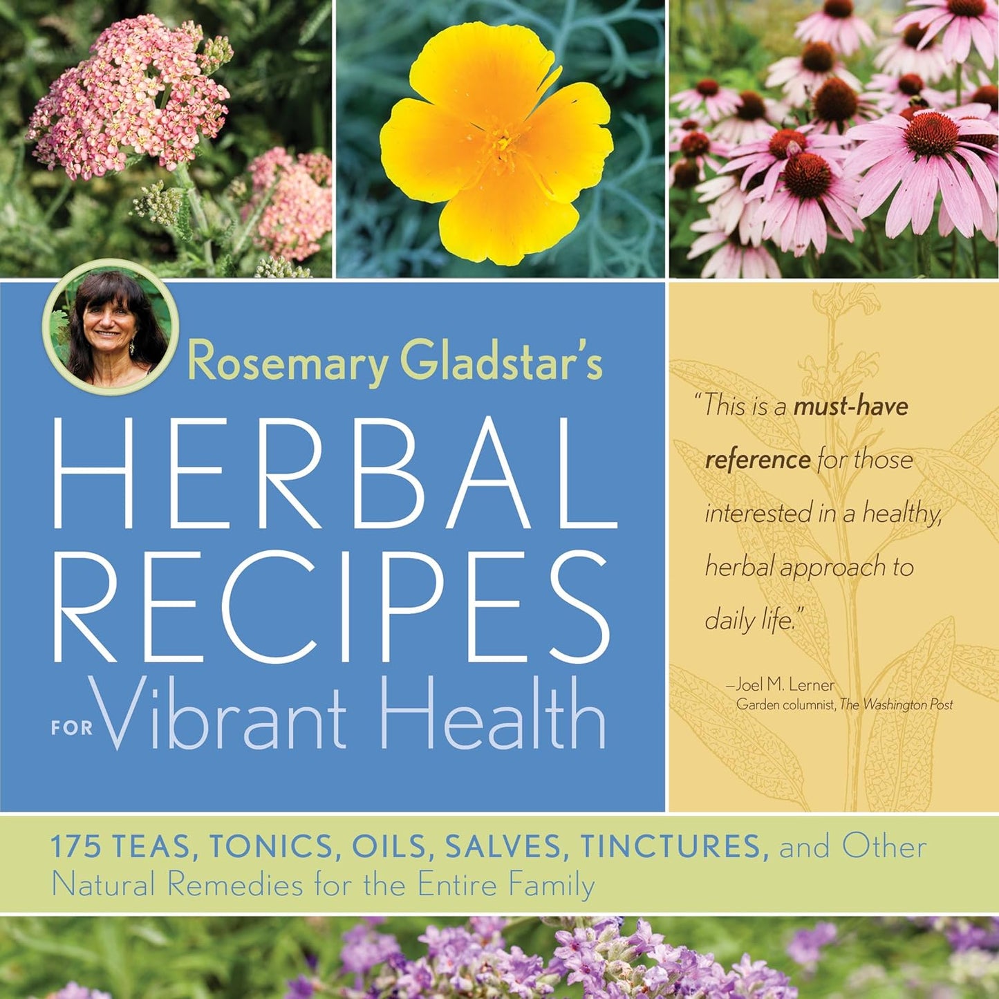 Herbal Recipes for Vibrant Health